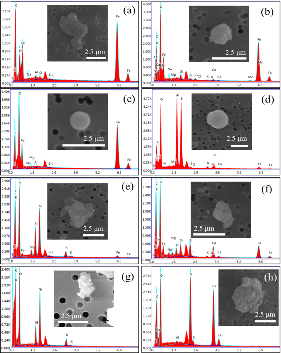 图4：SEM-EDX 视角下单颗粒形貌与元素组成谱图