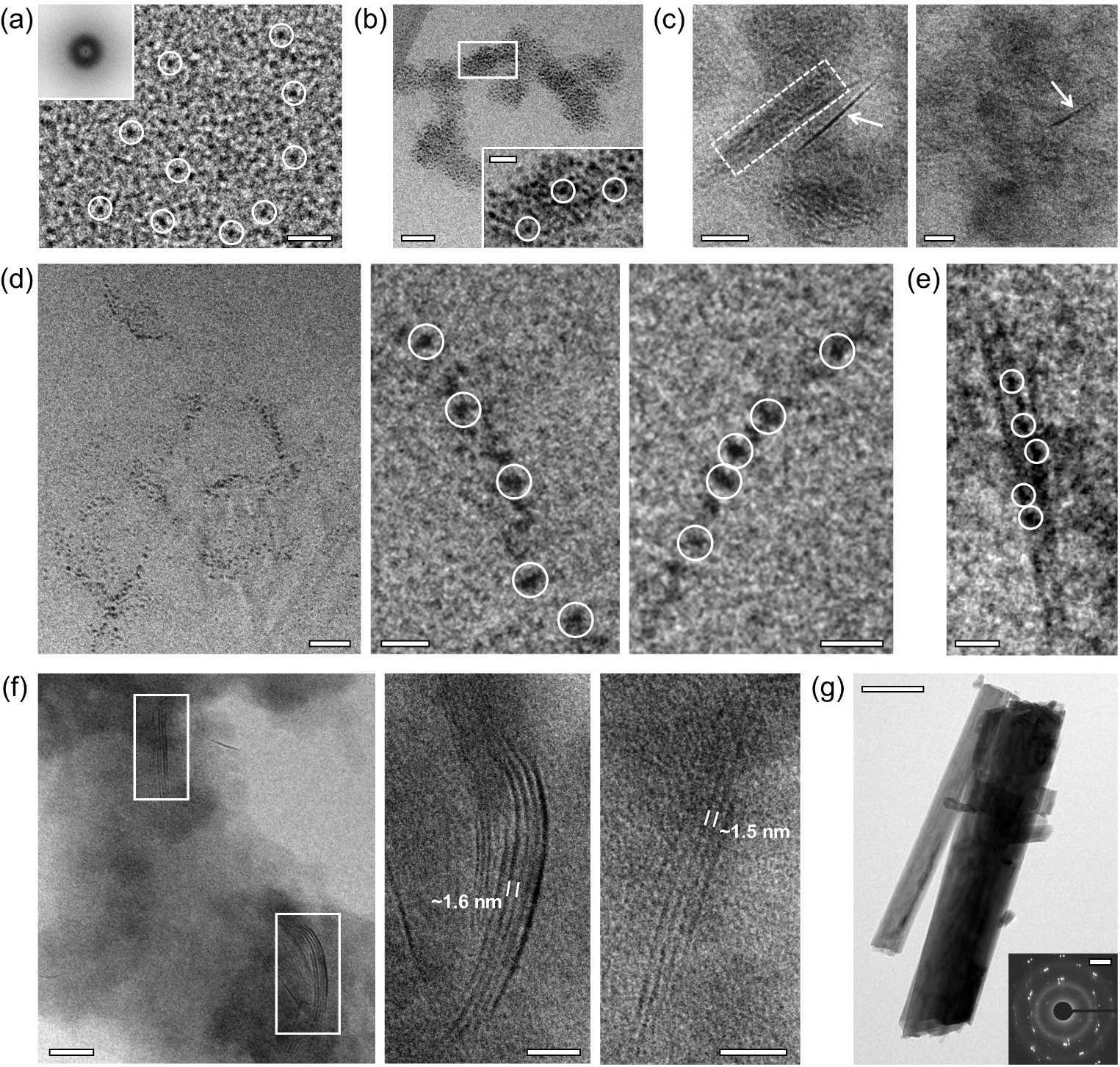 Figure 5：cryo-TEM 直接观察石膏成核中的纳米物种、无序聚集体、一维链、二维原晶格与晶体